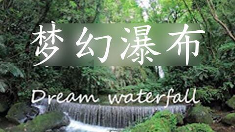 逃离白鸽之森