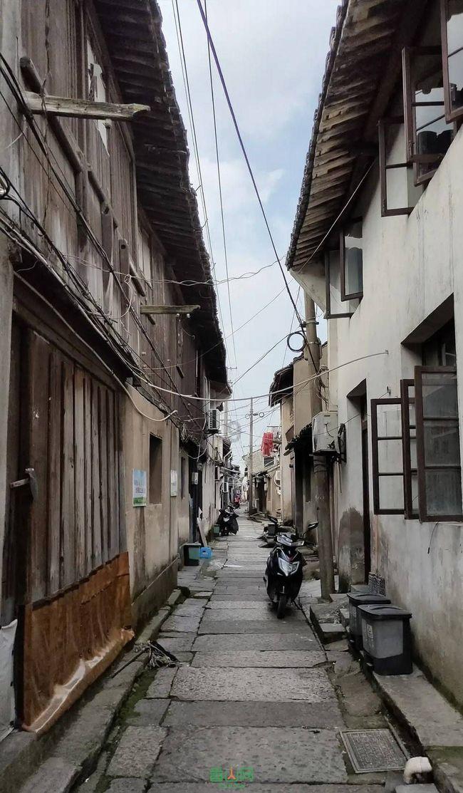 营救小乌龟